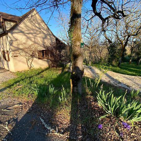 Villa Domaine de Gayfié Salvagnac-Cajarc Esterno foto